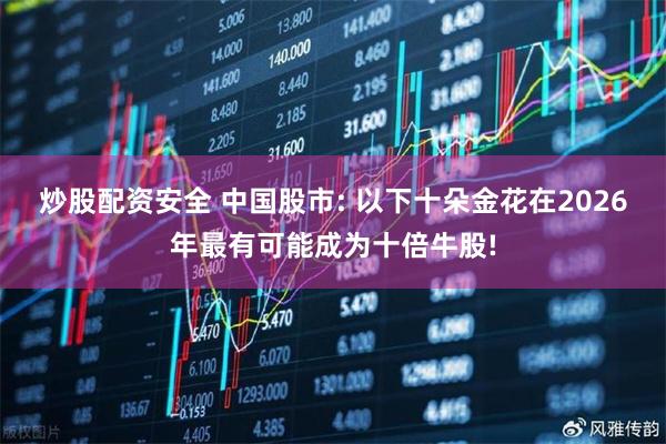 炒股配资安全 中国股市: 以下十朵金花在2026年最有可能成为十倍牛股!