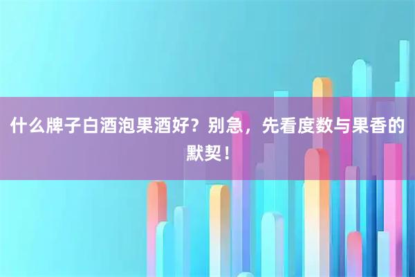 什么牌子白酒泡果酒好？别急，先看度数与果香的默契！