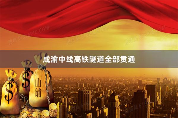 成渝中线高铁隧道全部贯通