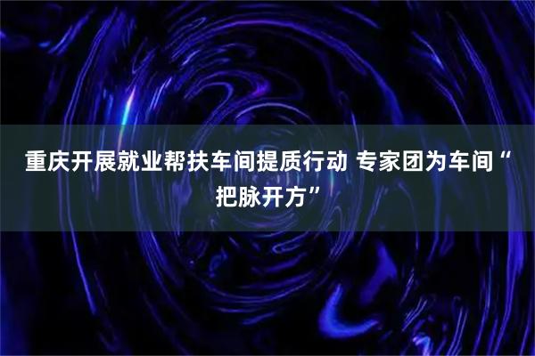 重庆开展就业帮扶车间提质行动 专家团为车间“把脉开方”
